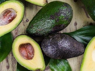 Les bienfaits de l’avocat, un allié santé pour l’été
