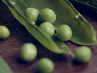Que faire avec des cosses de petit pois ?