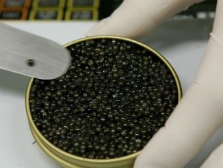Le Caviar d'Aquitaine est désormais protégé