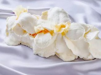 Immanquable bûche de Noël