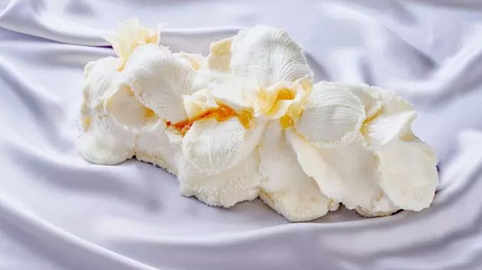 
Immanquable bûche de Noël
