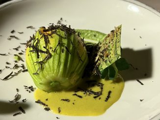 Michel Kayser l’assertivité au coeur de la transmission