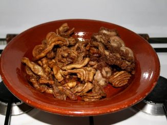 Gallinejas españolas