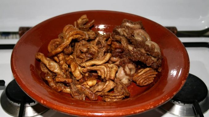 Gallinejas españolas