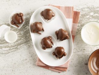 chocolate covered strawberry turkeys on a white plate