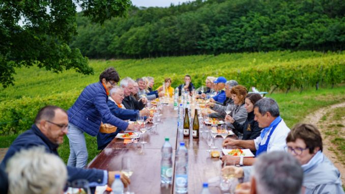 Tablée des Vignes à Obernai, une stammtisch géante place du marché