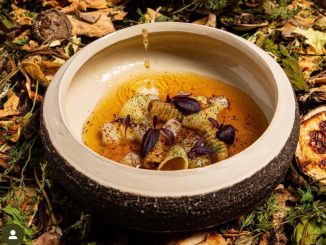 Bouillon de bœuf séché Cappelletti aux truffes blanches