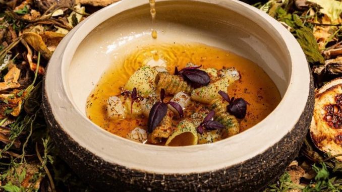 Bouillon de bœuf séché Cappelletti aux truffes blanches