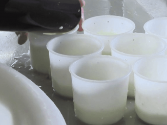 Ardèche : les producteurs du caillé doux de Saint-Félicien réclament une AOP
C'est l’un des fromages préférés des Français. Les producteurs de Saint-Félicien réclament une AOP pour le fromage emblématique, le caillé doux, car le nom serait utilisé abusivement.