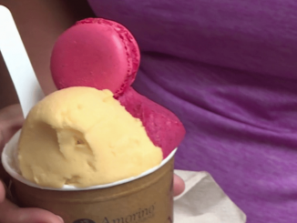 Alimentation : la glace, le plaisir de l’été
Depuis quelques jours, les températures repartent à la hausse, notamment à Toulouse. Un retour des beaux jours et de la chaleur qui donne du travail aux glaciers. Dans la ville rose, ils sont nombreux à proposer leurs saveurs parfois surprenantes.