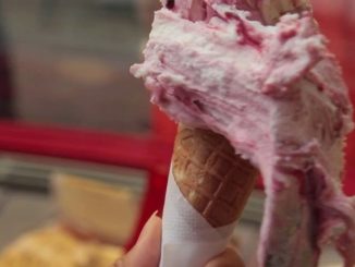 Inflation : les glaces résistent malgré la hausse des prix
C'est l'un des rares produits qui ne pâtit pas de l'inflation. Cet été, les glaces sont plus chères mais les ventes ne faiblissent pas. Pas question de rechigner à ce petit plaisir sucré, symbole des vacances.