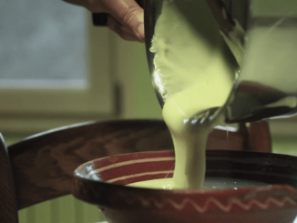 Fromage : les secrets de fabrication de la cancoillotte
La cancoillotte est un fromage à pâte fondue, fabriquée à partir de lait de vache dans le pays comtois. C'est d'ailleurs l'un des fromages les plus diététiques.