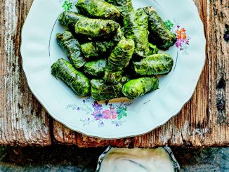 Recette Dolmadakia -feuille de vigne- de Dina Nikolaou