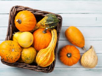 Saviez-vous que toutes les courges n