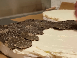 Noël et fêtes de fin d’année : le généreux brie truffé de Cahors
Les amateurs de truffes peuvent retrouver leur produit favori en fromage. Un produit de fêtes parfois onéreux.