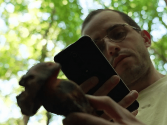 Reconnaissance des plantes : peut-on se fier aux applications ?
En ce premier jour d’automne, l’Agence de sécurité sanitaire lance un message d’alerte. Elle a recensé depuis le 1er août deux fois plus d’intoxications aux champignons par rapport à l’an dernier et elle pointe du doigt l’utilisation par les cueilleurs d’une application de reconnaissance sur smartphone.