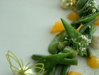 Le végétal devient une nécessité