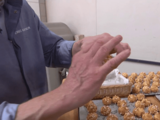 Découverte : des boulangeries aux bureaux, la chouquette met tout le monde d’accord
Les chouquettes sont si populaires qu’elles ont réussi à s’imposer dans des milliers de bureaux. Leur distribution n’est plus un simple geste de convivialité.
