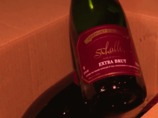 Patrimoine : le crémant d’Alsace s’exporte dans le monde
L'incroyable succès du crémant se confirme et pas seulement en France. L'année 2022 a été record en termes de vente. Le crémant décolle face à l'incontournable champagne.