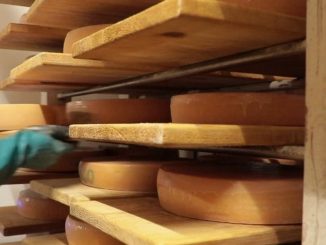 Gastronomie : la raclette, le réconfort de l'hiver
Comme chaque samedi, "les Petits plats dans l'écran" présente un produit de saison, un producteur et un chef. Direction la Haute-Savoie pour une raclette d'excellence.