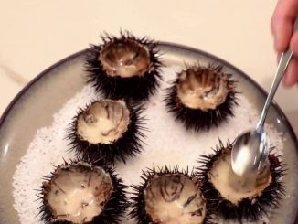 Vidéo
De la mer à l'assiette, les oursins violets de Marseille font le bonheur des grands chefs
Ce fruit de mer est surnommé le caviar de la Méditerranée. Lumière sur l'oursin, dont la pêche n'est autorisée que six mois dans l'année.