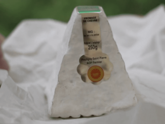 Gastronomie : le Pouligny Saint-Pierre, un fromage de chèvre unique
Ce lundi 16 octobre, le 13 Heures vous fait découvrir le Pouligny Saint-Pierre, un fromage de chèvre AOP unique, fabriqué dans le Brenne (Indre).
