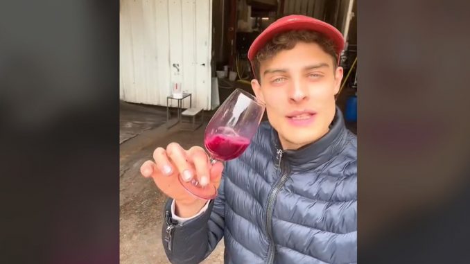 Comment parler du Beaujolais nouveau quand on n'y connaît rien au vin : on a demandé à un vigneron star de TikTok
Chaque année, le Beaujolais nouveau fait son retour le 3e jeudi de novembre. Et chaque année, vous vous dites que vous n'y connaissez rien ? On a posé quelques questions à Emile Coddens, un jeune vigneron qui transmet sa passion du vin sur TikTok.