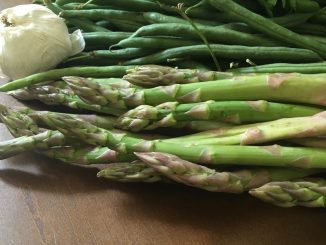 "Saison", que les cuisiniers respectent à la lettre