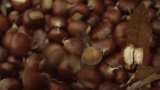 Gastronomie : à la découverte des châtaignes grillées de Collobrières
Le 13 Heures vous emmène toute la semaine dans des beaux villages de France qui célèbrent l’automne. Lundi 6 novembre, direction Collobrières, dans le Var, une des capitales de la châtaigne.