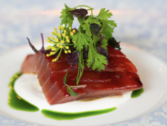 Recette Thon rouge Ikejime laqué au jus groseille, crème Burrata