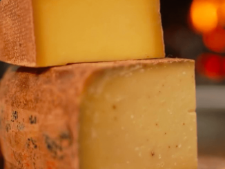 Gastronomie : le Comté, le bon goût de la patience
Le Comté prend son temps pour révéler toutes ses saveurs. Reportage dans une cave d'affinage du Jura.