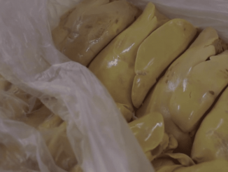 Gastronomie : le succès des marchés au foie gras
C'est l’un des rendez-vous incontournables de tous les amateurs de foie gras. Le marché de Samatan dans le Gers est une institution, une sorte de bourse au foie gras.