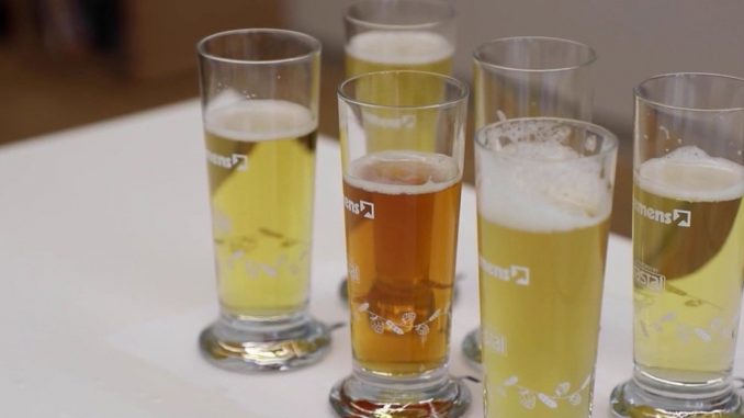 Écoles extraordinaires : à Munich, des élèves deviennent sommeliers de la bière
En Bavière, des formations existent pour devenir sommelier de la bière. Comme pour le vin, il conseille des bières en accord avec des plats.