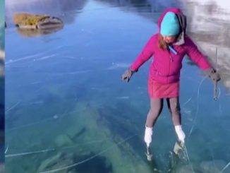 Le monde en images : les actualités de la semaine
Le 20 Heures du dimanche 19 novembre revient sur la semaine d’actualités en images. Au programme : un gourmand qui tranche son foie gras à la Carte Vitale dans le train, un lac gelé et translucide et un beau cadeau de Noël pour une jeune fille atteinte d’un cancer.