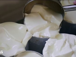Vidéo
"Le camembert de Normandie doit rester au lait cru" : un artisan fromager se bat à Camembert contre la pasteurisation voulue par les grands groupes laitiers
L'artisan fromager Pierre Coulon a créé sa fromagerie dans le village normand connu dans le monde entier, Camembert, où les gros industriels sont installés.