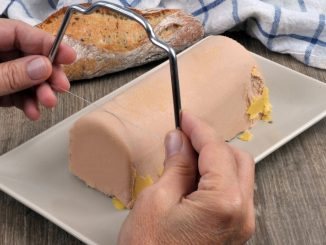 "Une aberration et une cruauté extrême" : une initiative populaire veut interdire le foie gras en Suisse
L’initiative populaire "Oui à l’interdiction d’importer du foie gras" veut interdire constitutionnellement l’importation de foie gras et de produits à base de cet abat.