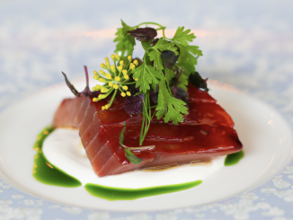 Thon rouge Ikejime,  laqué au jus groseille, crème Burrata de Yoshi Nagato