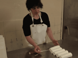 Indre-et-Loire : le succès du fromage de chèvre Sainte-Maure-de-Touraine AOP
En 2023, plus de 2 000 tonnes de fromage de chèvre Sainte-Maure-de-Touraine AOP (appellation d'origine protégée) ont été écoulées. Un label qui permet une meilleure rémunération des producteurs en Indre-et-Loire, et qui séduit les consommateurs.