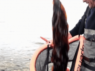 Gastronomie : à l'Ile de Ré, le wakamé, source d’inspiration pour les chefs
Samedi 29 avril, le wakamé, une algue très consommée en Asie, est à l’honneur dans "Les petits plats dans l’écran". On peut le ramasser à marée basse et le consommer en salade. Exemple sur l’île de Ré.