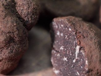 Truffe : l’or noir venu de Provence
Aliment de luxe, la truffe noire est un champignon rare. L’aide d’un limier est nécessaire pour la dénicher, mais son goût ravit toujours les papilles des gourmets depuis des siècles.