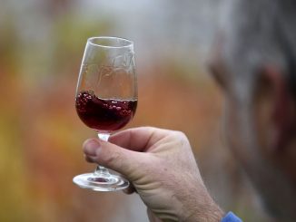 La production de vin évolue, notamment en Chine, en Angleterre et en Inde