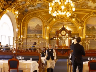 Gastronomie : le "Train Bleu" à Paris, un embarquement direct pour la Belle Époque
La brasserie "Le Train Bleu", à la gare de Lyon à Paris, est classée monument historique depuis 1972. Dans un décor Belle Époque exceptionnel entre dorures, sculptures et lustres fastueux, les clients sont invités à voyager dans le temps et à savourer dans l’assiette.