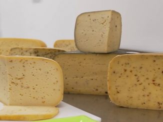 Gastronomie : du gouda produit au cœur de la Normandie
Si la Normandie est connue pour son camembert, du gouda est aussi produit dans la région par un éleveur hollandais installé dans l'Orne depuis plus de 30 ans.