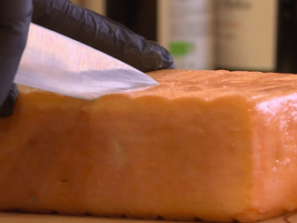 Gastronomie : le maroilles, une saveur de caractère typique du Nord
La star de la rubrique "Les Petits Plats dans l'Écran" de ce samedi 10 février est le maroilles, un fromage de caractère au lait cru de vache. C’est le seul fromage du Nord à avoir une histoire millénaire.