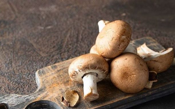 Une Duxelle, avec ou sans champignons ?