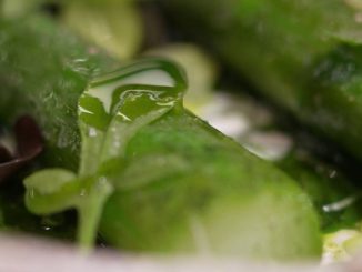 Gastronomie : l'oseille s'invite dans les assiettes au printemps
L'oseille est mise à l'honneur dans la rubrique "Les petits plats dans l'écran" samedi 6 avril. Cru ou cuit, ce légume-feuille printanier séduit aussi les grands chefs.