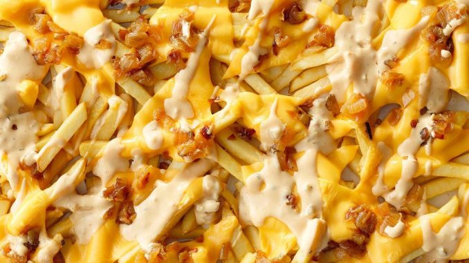 Copycat Animal Style Fries