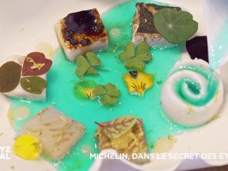 Vidéo
Pour décrocher les étoiles du Guide Michelin, retranscrire en cuisine les émotions d'une balade en bateau sur le lac d'Annecy
En le poussant jusqu'au plus profond de ses souvenirs d'enfance pour oser une cuisine qui ne ressemble à aucune autre, le travail avec un "faiseur d’étoiles" permettra peut-être à Eric Prowalski de décrocher sa deuxième étoile... mais surtout, il aura tout changé dans sa vie.