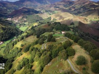 Vidéo
La vallée du bonheur
La vallée des Aldudes, enclavée dans le massif pyrénéen, a su résister à la désertification et au chômage en se spécialisant dans la production de produits du terroir haut de gamme : élevage artisanal d'une race ancienne de porcs basques, truites de montagne, fromages de brebis… Et ça marche !