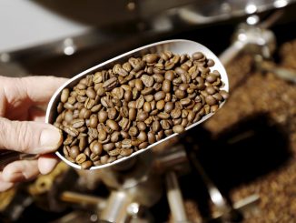 La torréfaction artisanale de café en plein essor